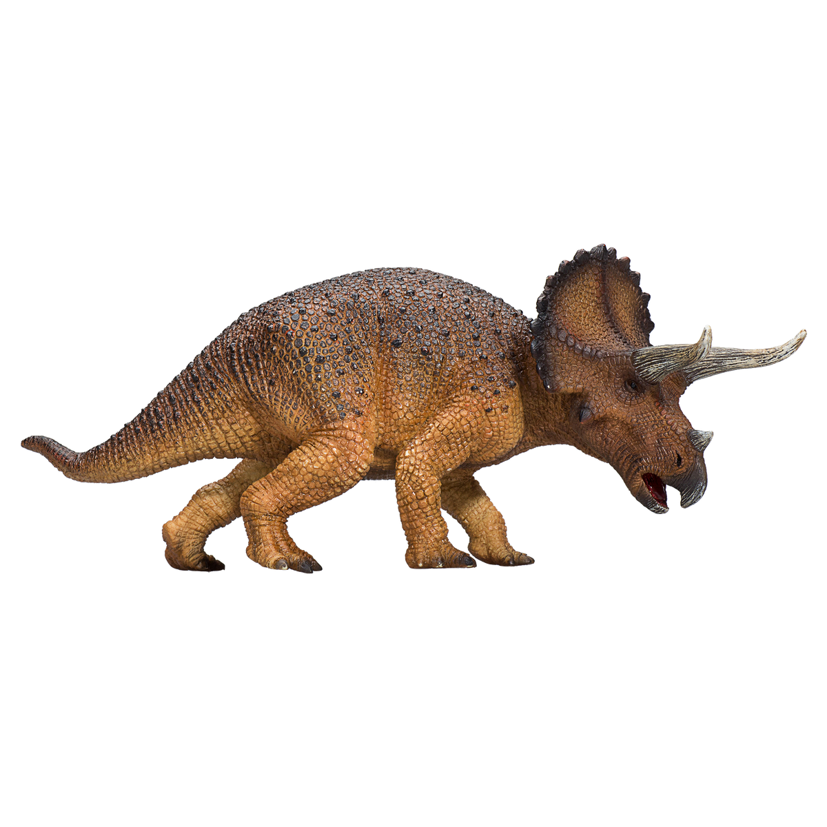Triceratops