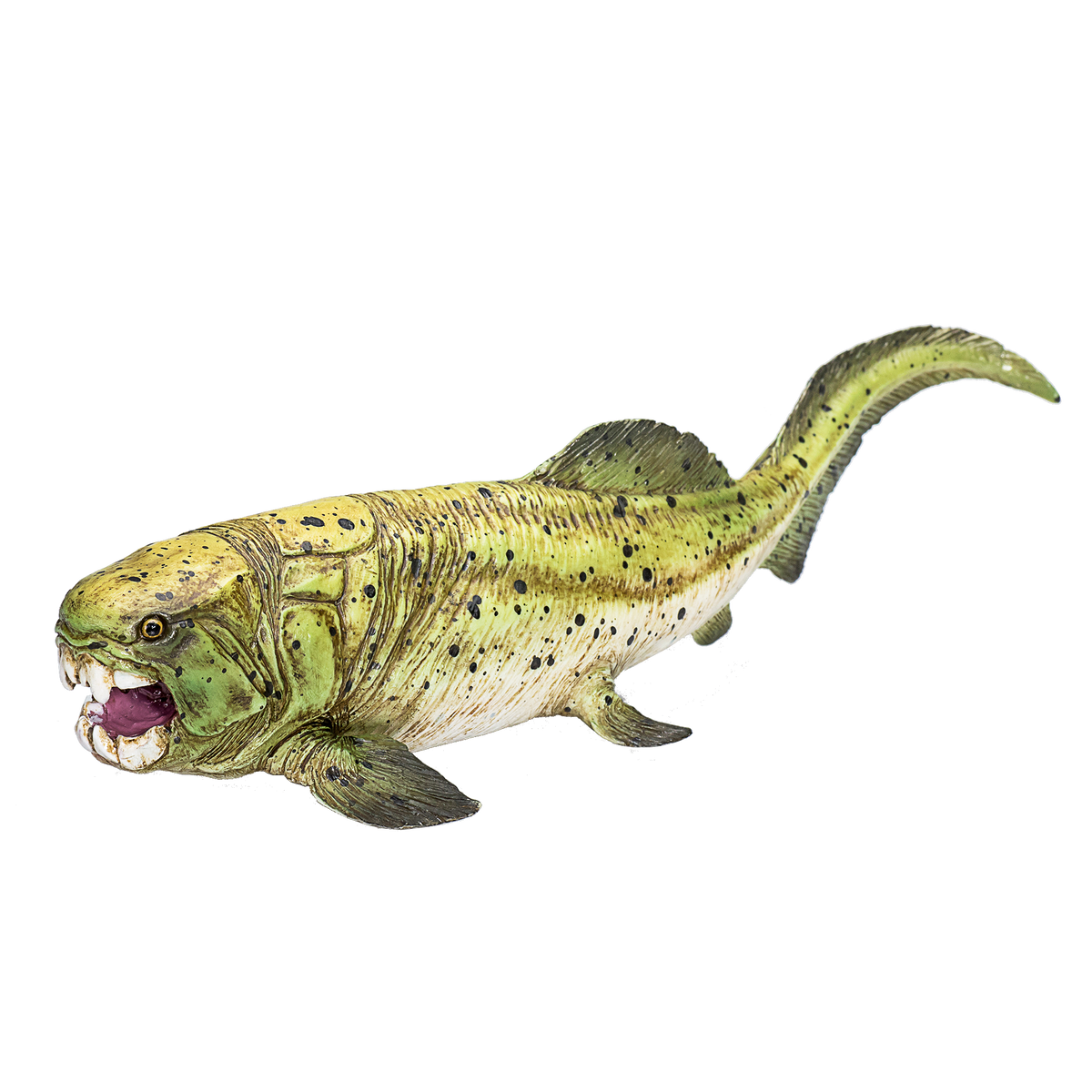 Dunkleosteus