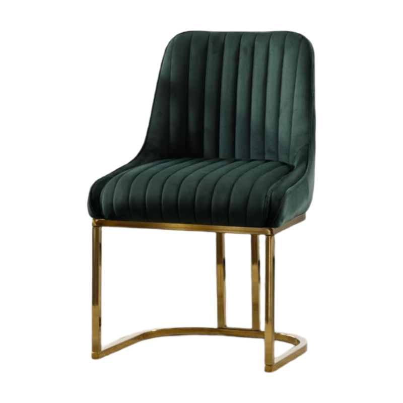 CHAIRUS chairus Dining Chairs Set of 2 Velvet Upholstered Kitchen Chair with Metal Legs