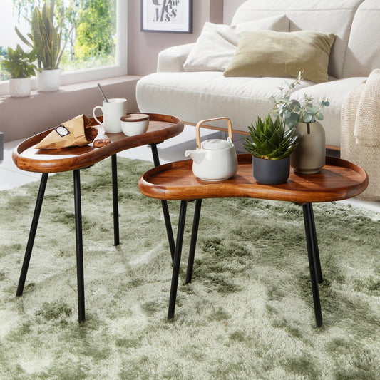 Finebuy Couchtisch Set FB52620 Sheesham Massiv Satztisch Nierenform mit Metallbeinen, Wohnzimmertische Massivholz, Kleine Nierentische Echtholz, Stube