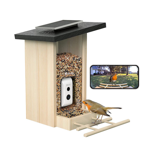 Birdfy Ebony Lite Smart Bird Feeder