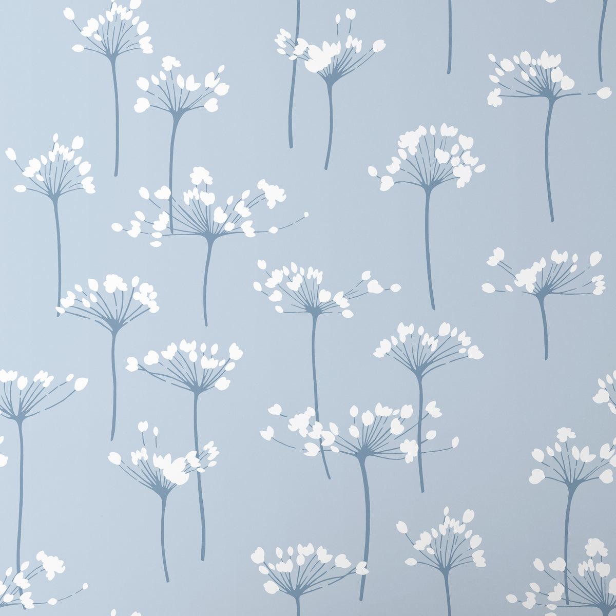'TRADITIONAL - Dandelion - PALE BLUE