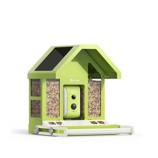 Birdfy Smart Metal Bird Feeder with Camera