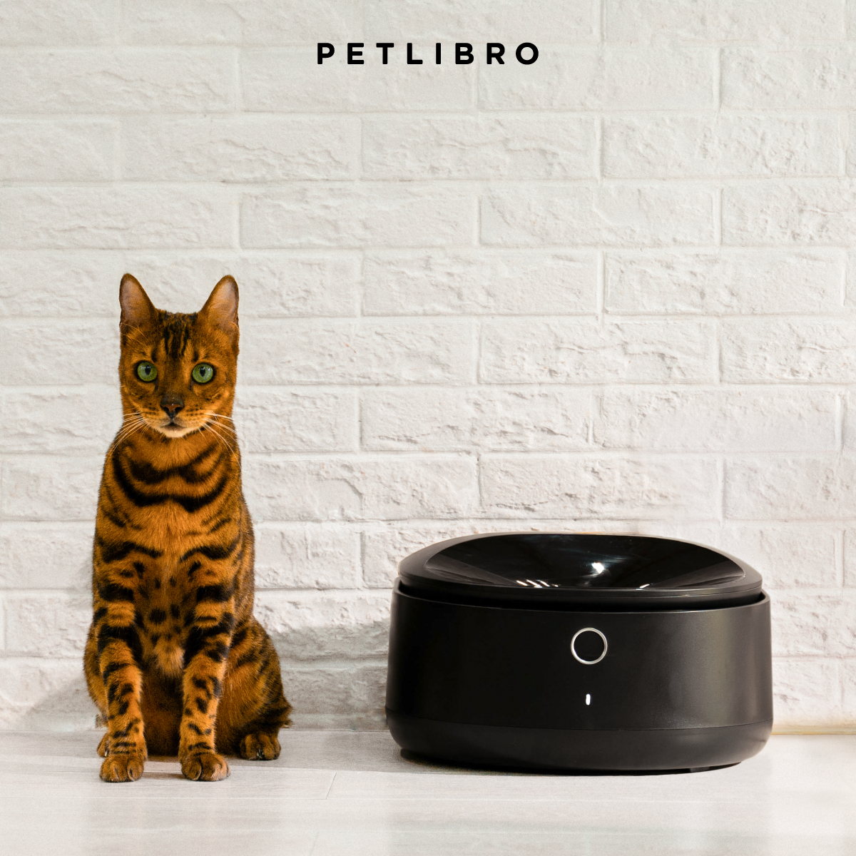 Petlibro Polar Wet Food Feeder