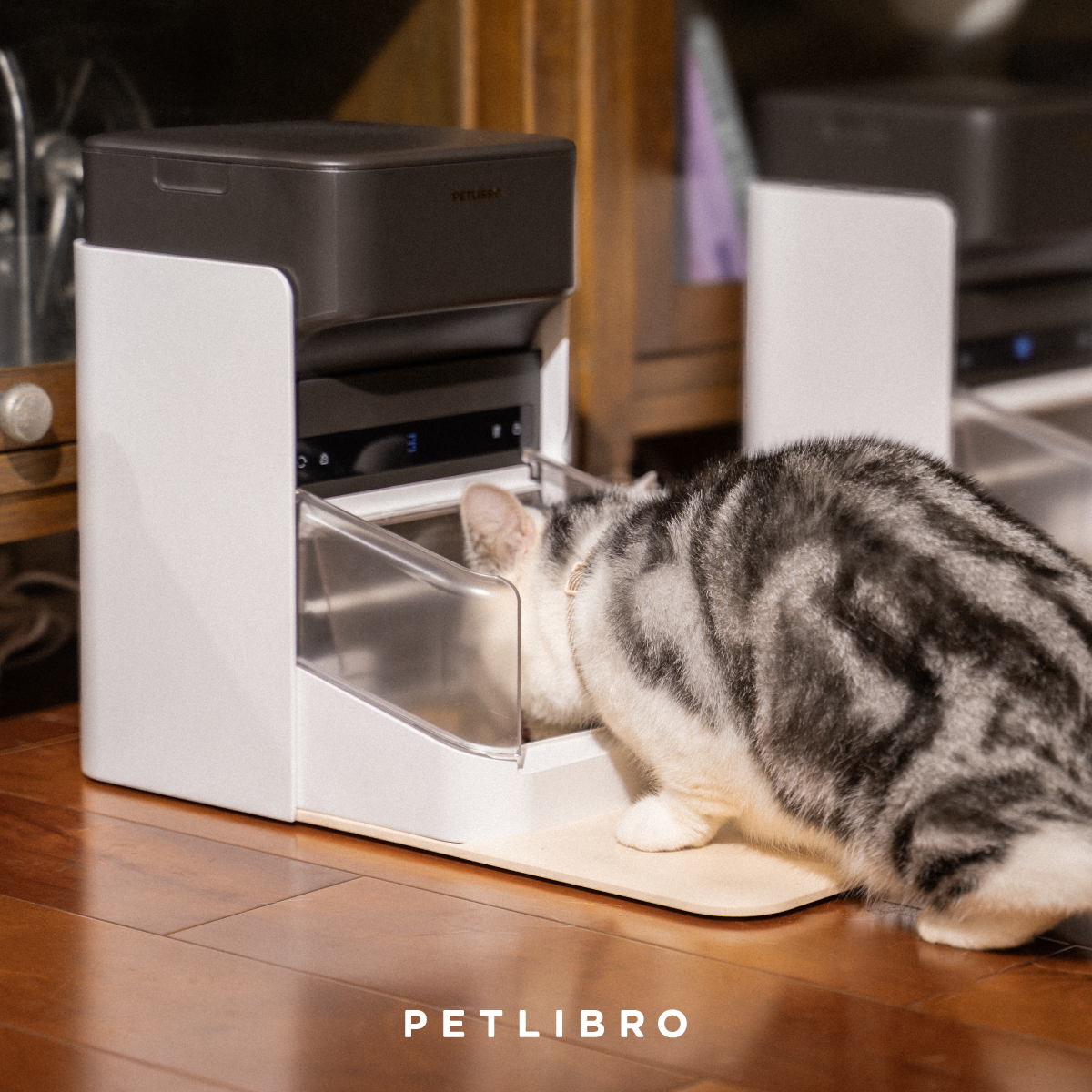 Petlibro One RFID Pet Feeder, 1 Pack
