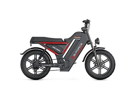 G-FORCE ZMPRO 20-Inch Electric Cross Bike, Unisex, 2080Wh Battery, Black