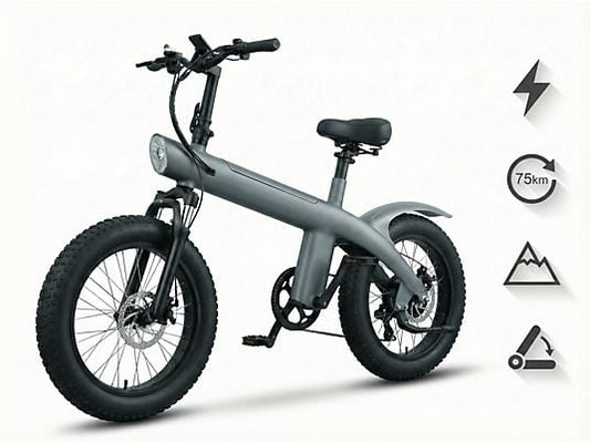 DECOME 250W 36V 10Ah 20-Inch Fat Tire Electric All-Terrain Bike, 7-Speed, 25km/h, 360Wh, Grey