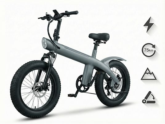 DECOME 250W 36V 10Ah 20-Inch Fat Tire Electric All-Terrain Bike, 7-Speed, 25km/h, 360Wh, Grey
