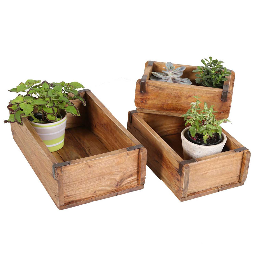 Pflanzenbox Gino 3er Set