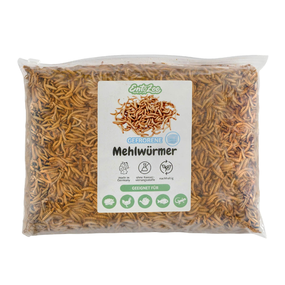 Gefrorene Mehlwürmer einzeln entnehmbar - 1kg