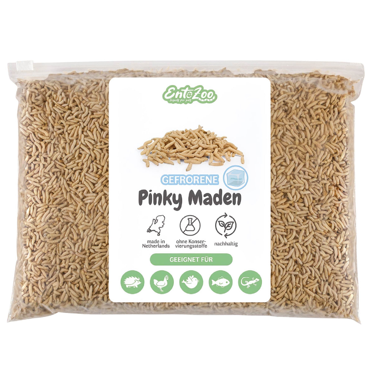 Gefrorene Pinky Maden (Lucilia sp.) Goldfliege Maden - einzeln entnehmbar - 1 Kg