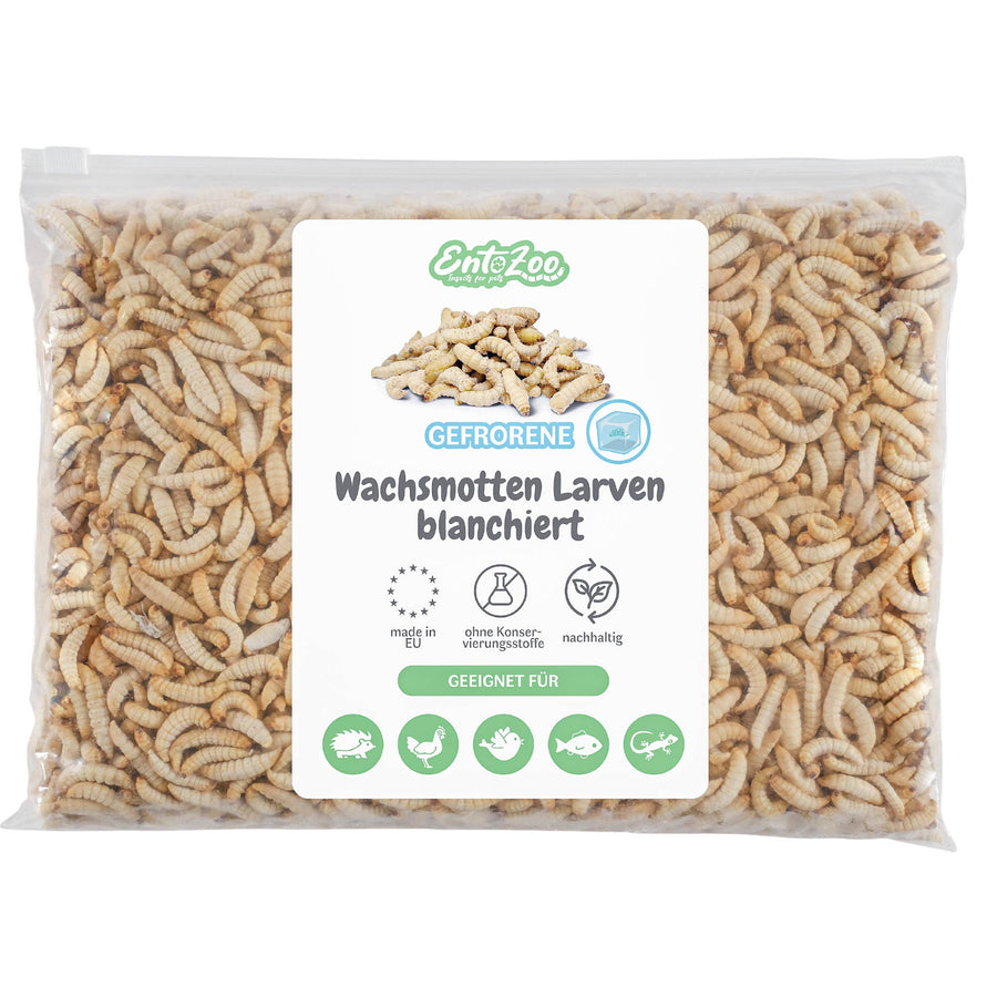 Gefrorene Wachsmotten Larven / Bienenmaden Larven - Blanchiert - einzeln entnehmbar - 0,25 kg