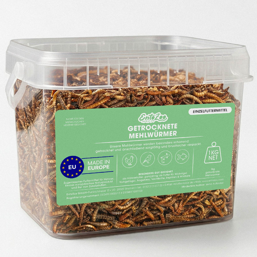 Getrocknete Mehlwürmer - 1 kg