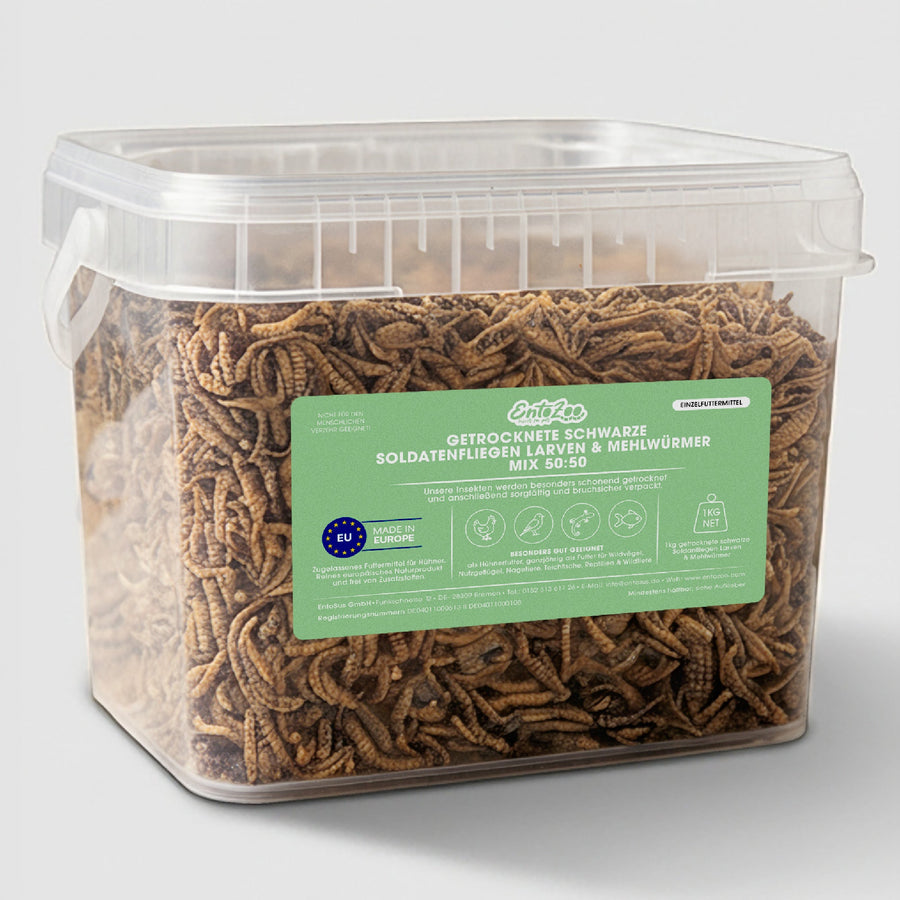 Insekten Mix Schwarze Soldatenfliege und Mehlwurm - 1 Kg