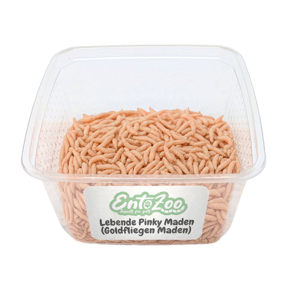 Lebende Pinky Maden (Lucilia sp.) Goldfliege Maden - einzeln entnehmbar - 1 L