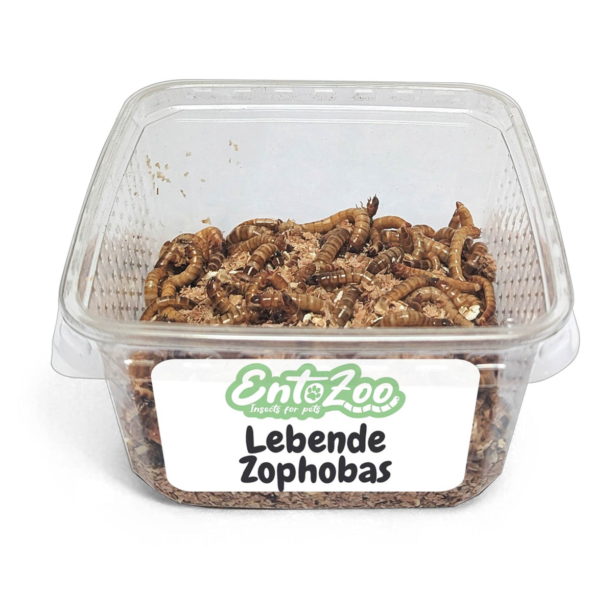Lebende Zophobas in Substrat als Futtertier - 3 x 50g