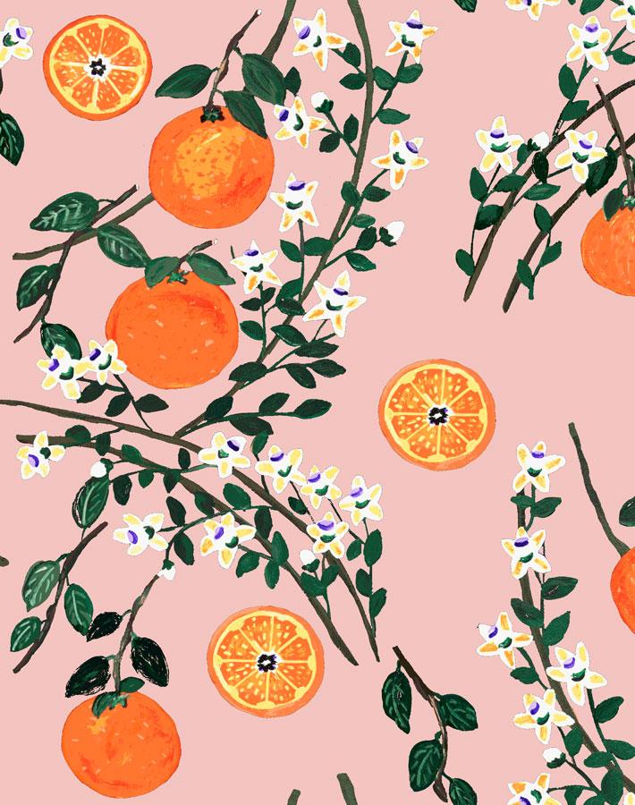 'Arance Dolci' Wallpaper by Carly Beck - Pink - Removable / 26 in. x 4.5 ft.