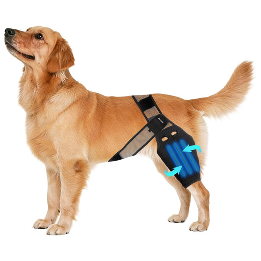 Dog Knee Brace for Torn ACL - M
