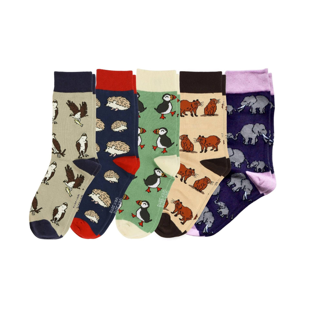 Bestsellers 5 Pack Bamboo Sock Set | UK Adult 4-7