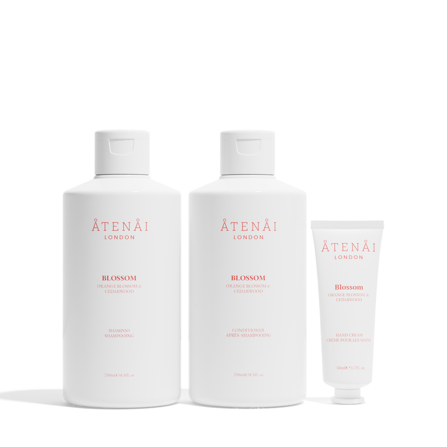 Atenai London Blossom Hair Duo Set