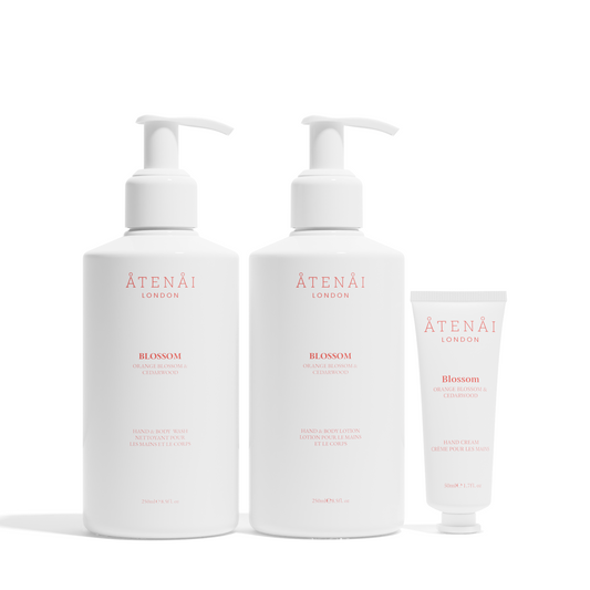 Blossom Hand & Body Duo Set