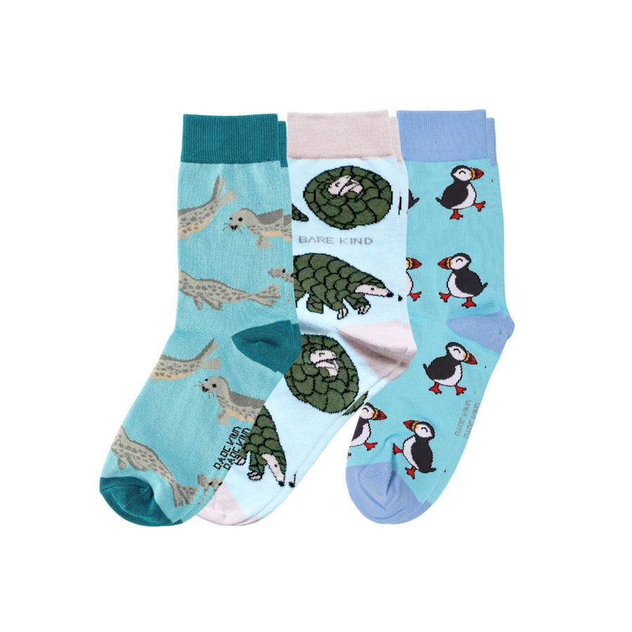 Blue Wonders Bundle of 3 | UK Adult 7-11