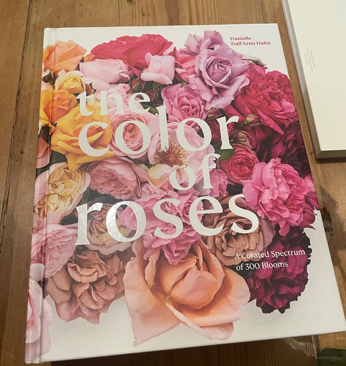 'The Color Of Roses" by Danielle Dall'Armi Hahn