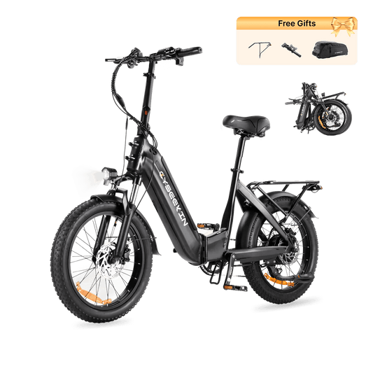 C20 Falt-E-Bike mit Tiefeinsteiger - Schwarz