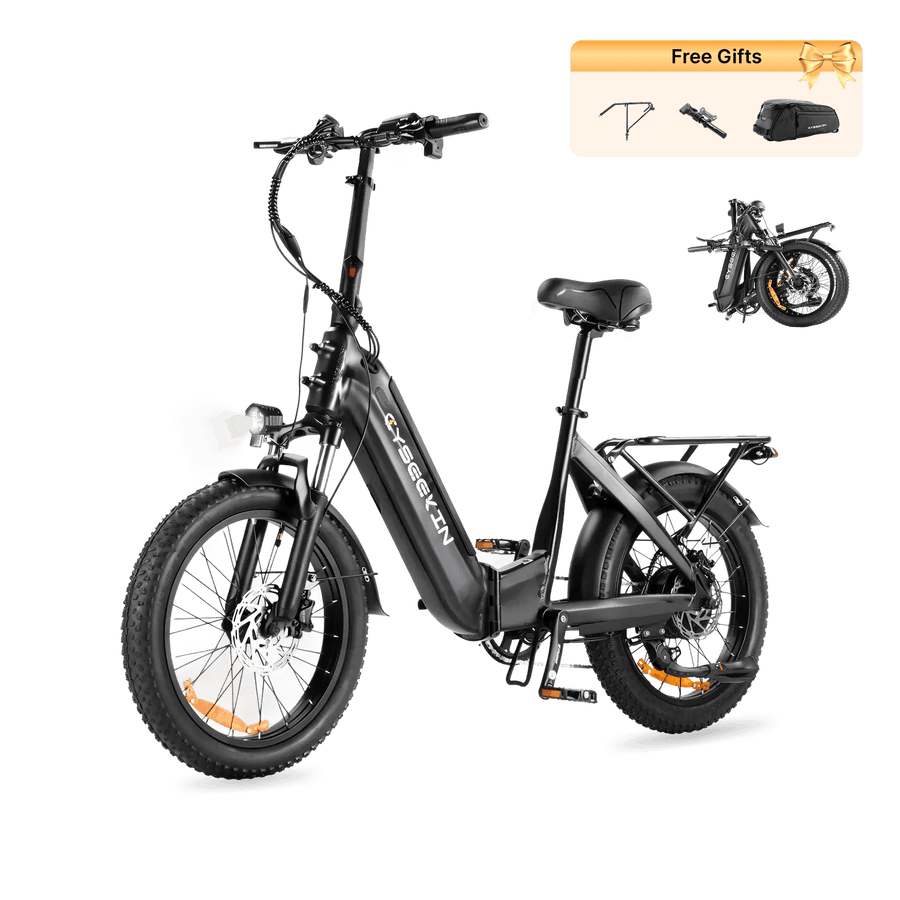 C20 Falt-E-Bike mit Tiefeinsteiger - Schwarz
