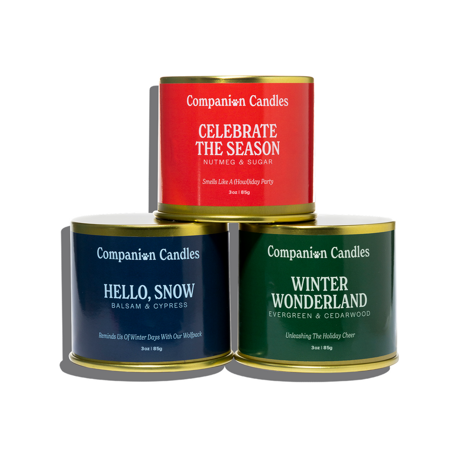 The Mini Winter Bundle