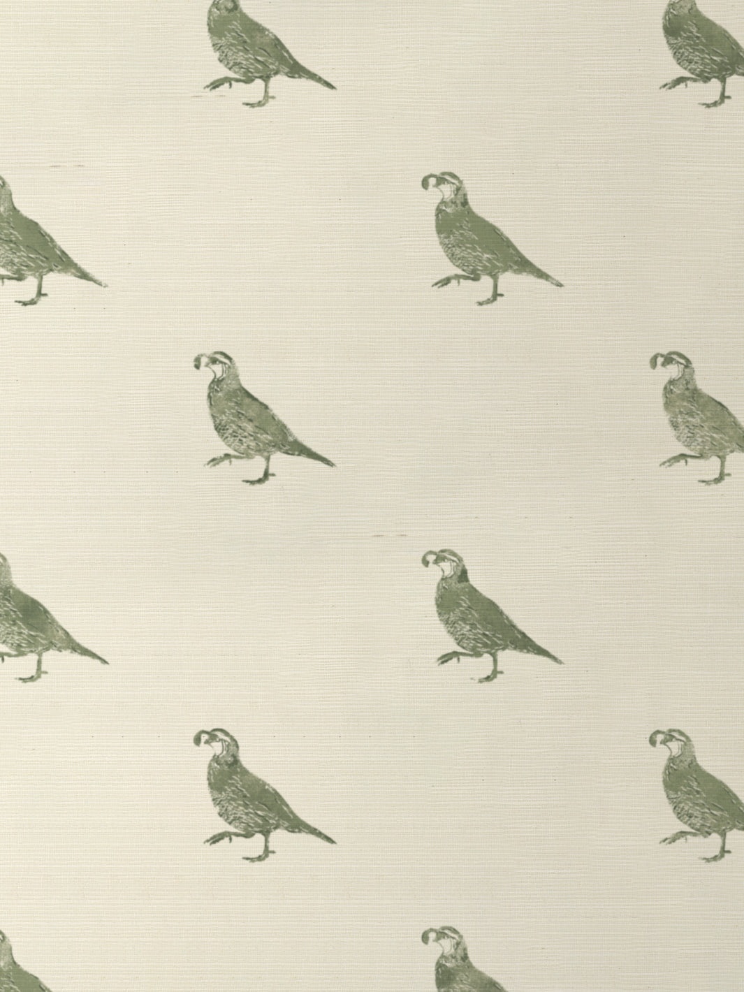 'California Quail' Grasscloth Wallpaper by Nathan Turner - Green - Grasscloth Roll - Sample
