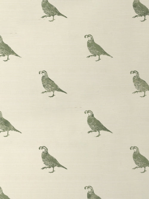'California Quail' Grasscloth Wallpaper by Nathan Turner - Green - Grasscloth Roll - Sample