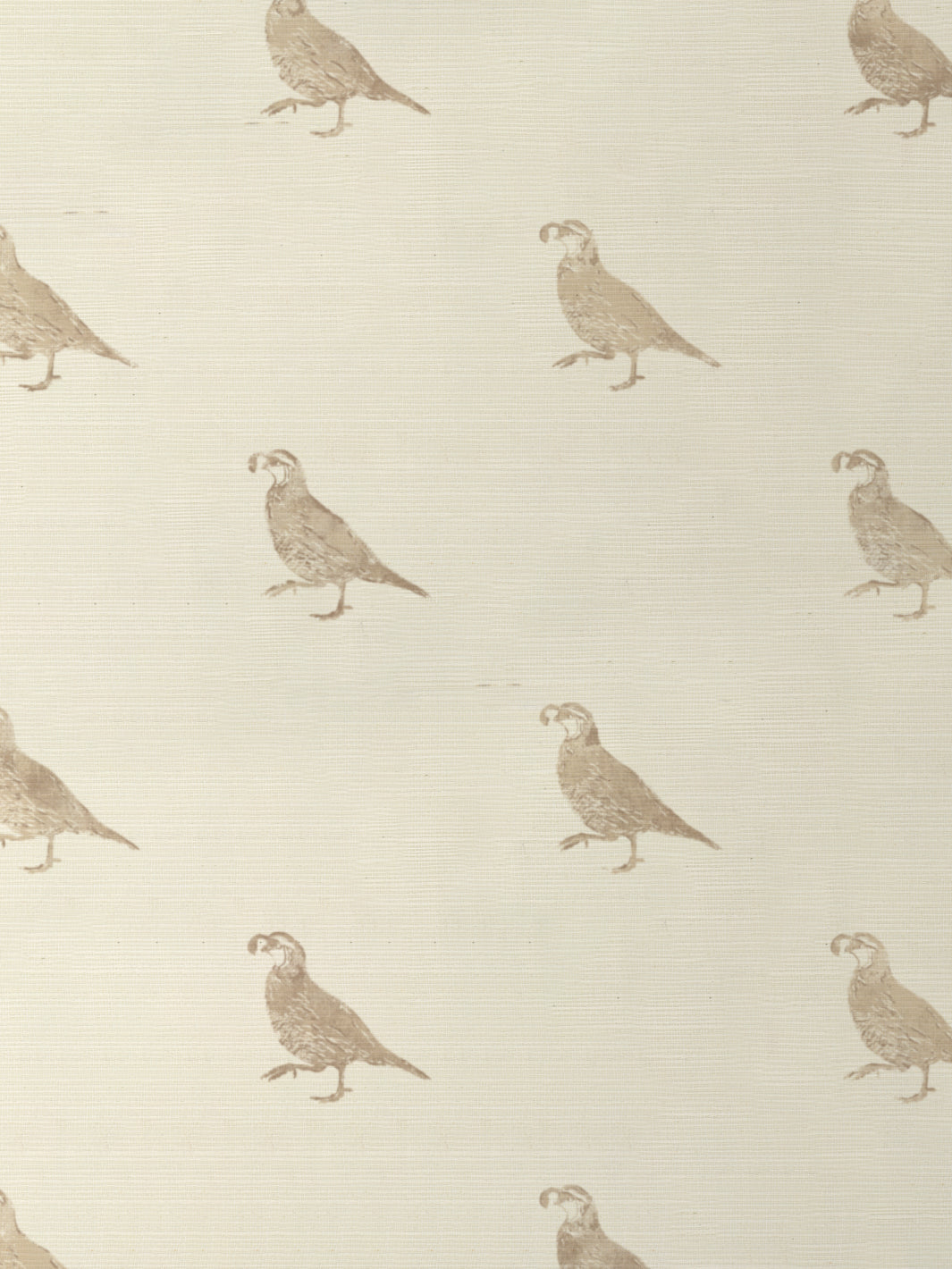 'California Quail' Grasscloth Wallpaper by Nathan Turner - Neutral - Grasscloth Roll