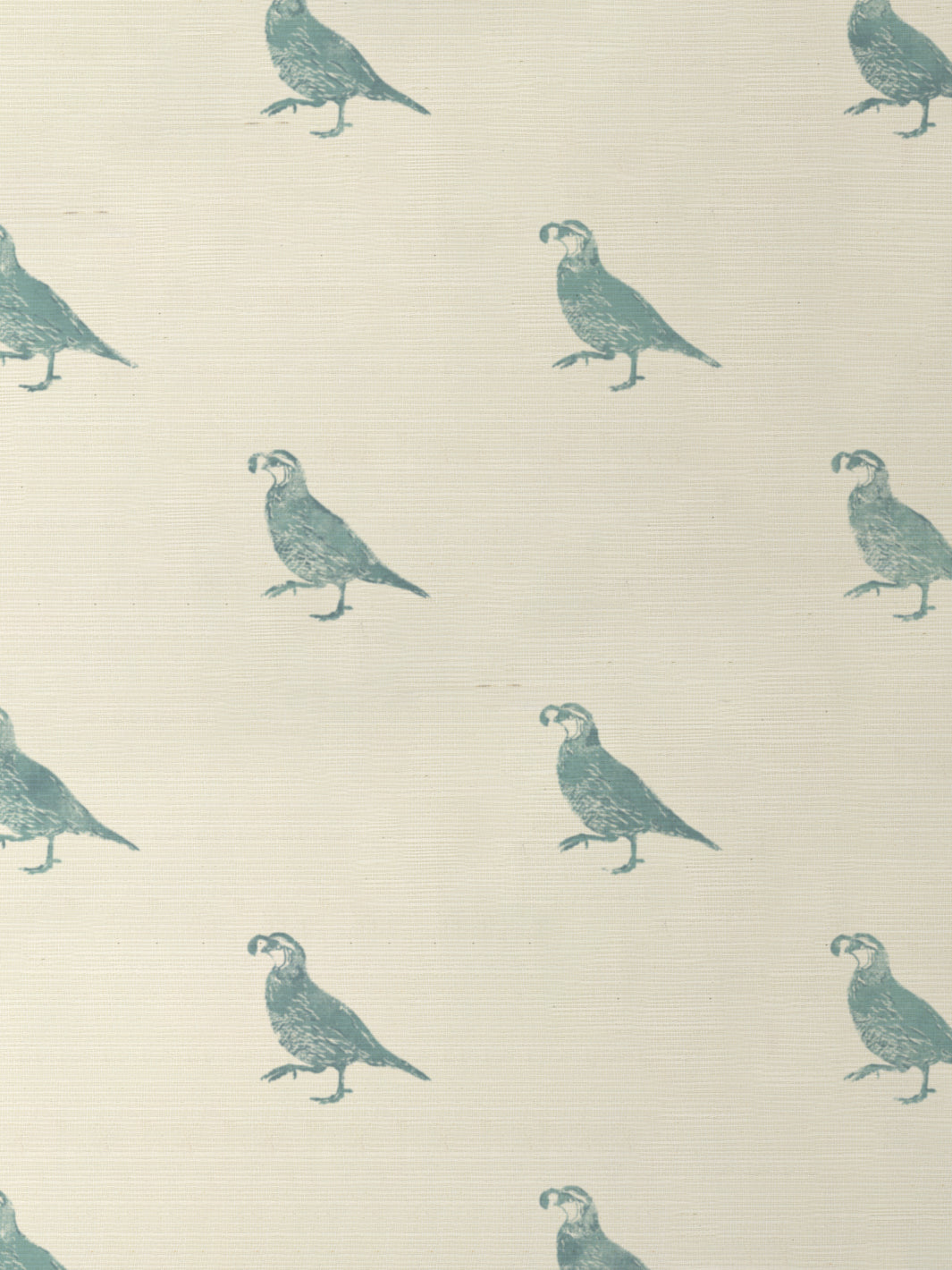 'California Quail' Grasscloth Wallpaper by Nathan Turner - Seafoam - Grasscloth Roll - Sample