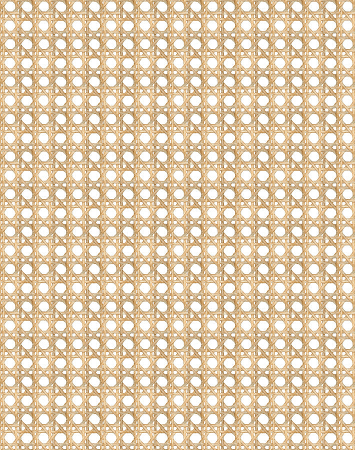 'Faux Caning' Wallpaper by Wallshoppe - Wicker - Removable Panel