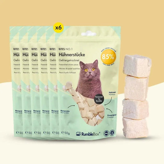 XXL Sparbox Hühnerstücke 6x50g