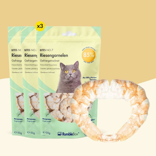 XXL Sparbox Riesengarnele 3x50g
