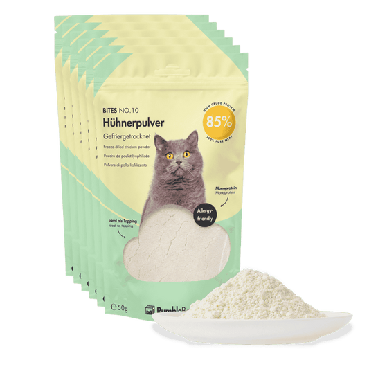 XXL Sparbox Hühnerpulver 6x50g