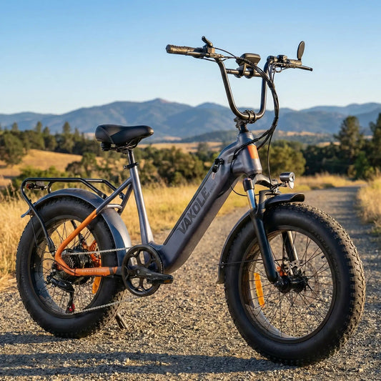 Vakole SG20 250W 20-inch Electric Fat Tire Utility E-Bike with 48V 14.4Ah 691Wh Battery