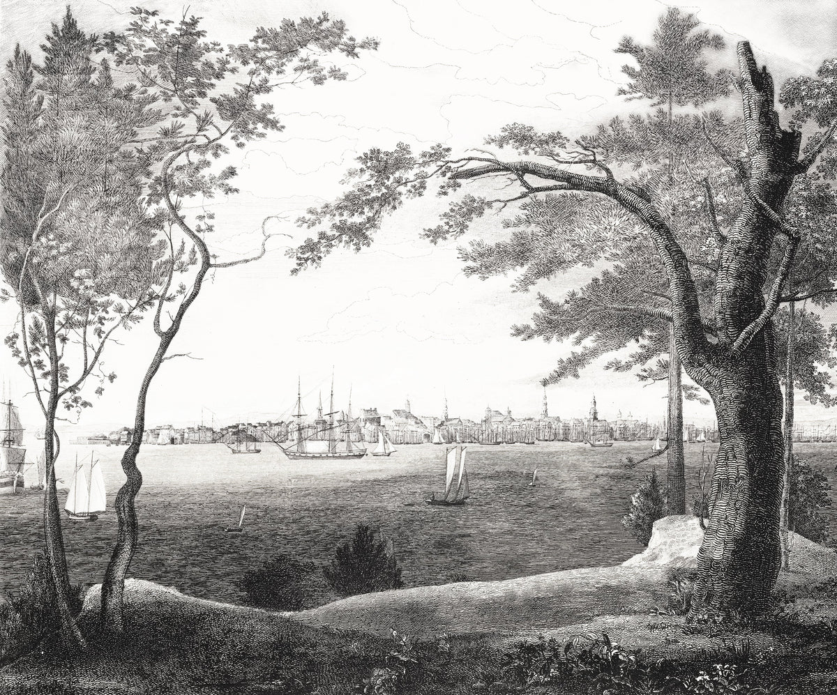 Hudson Bay' Etching Removable Mural - Full Size Mural