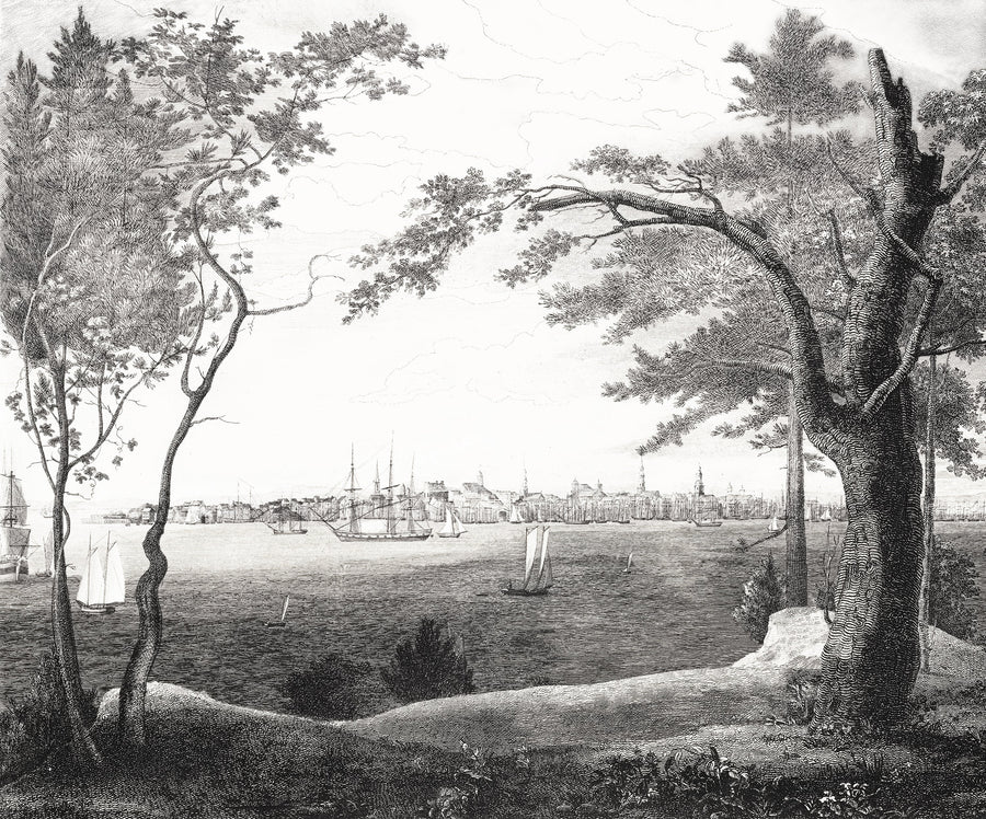Hudson Bay' Etching Removable Mural - Full Size Mural