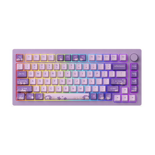 MonsGeek M1W
