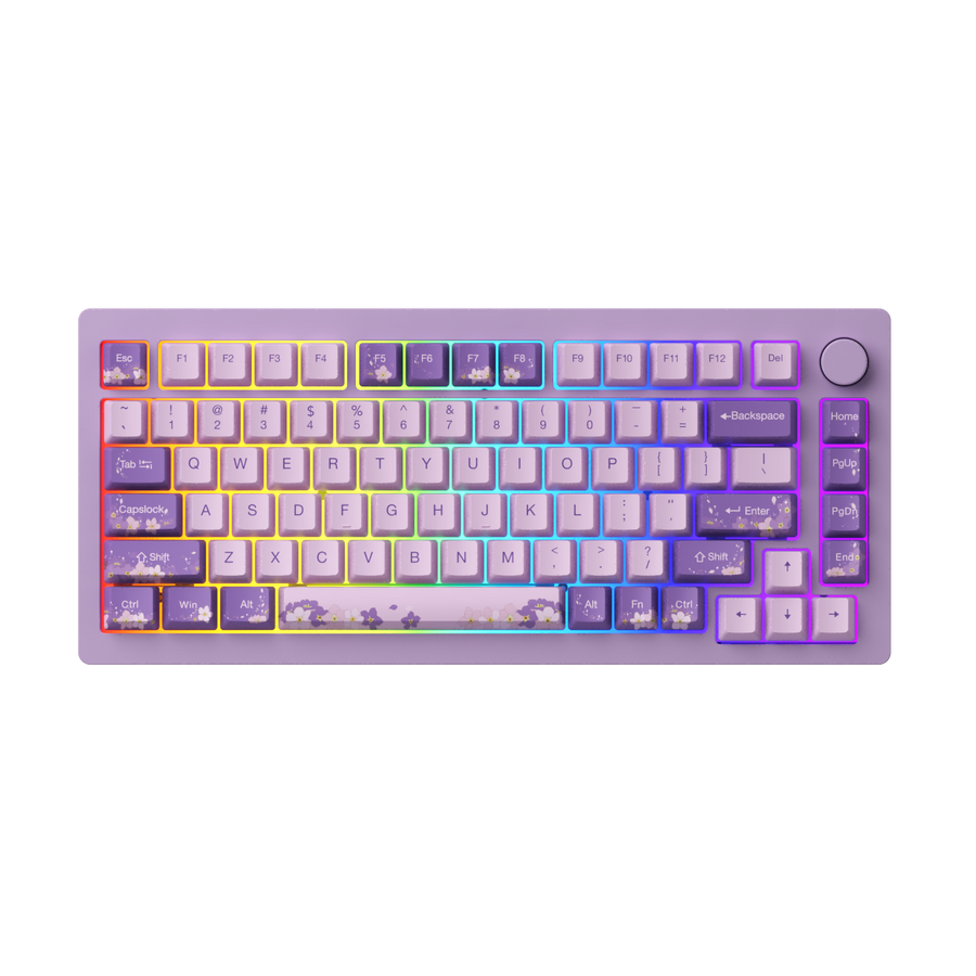MonsGeek M1W