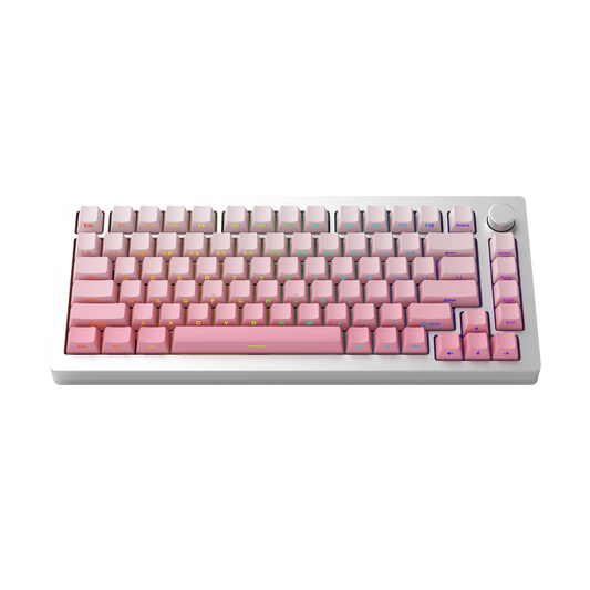 MonsGeek M1W SP