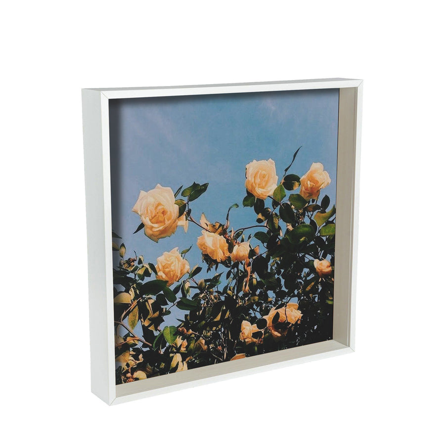 16" x 16" 3D Deep Box Photo Frame - White