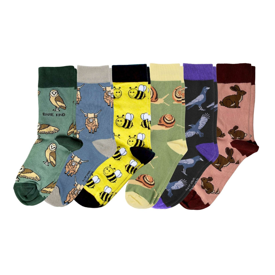 North Wales Wildlife Trust Rainbow Bundle of 6 | UK Adult 4-7
