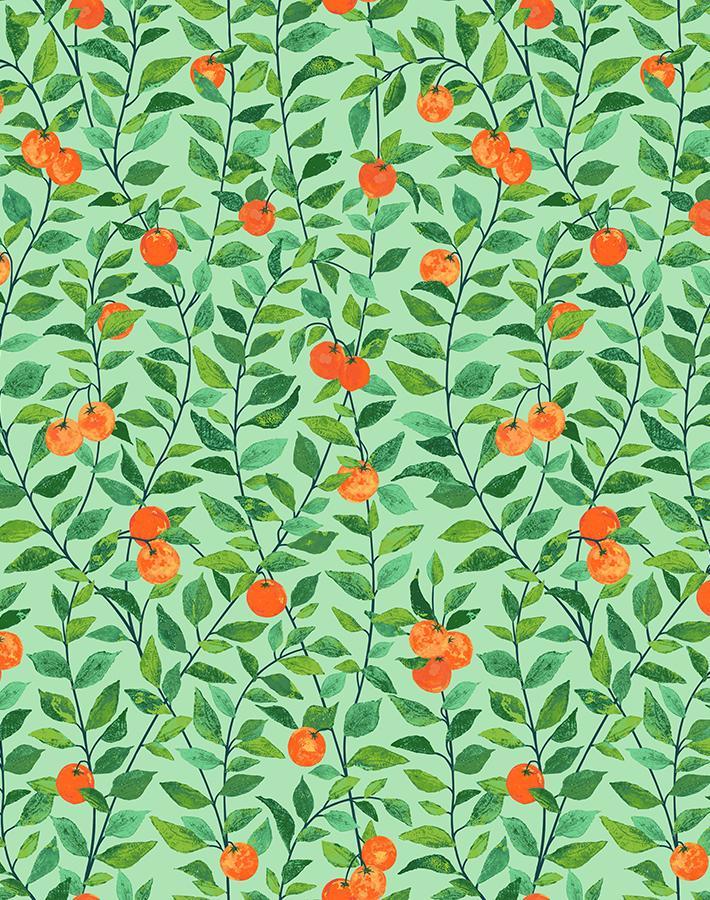 'REMOVABLE - Orange Crush Wallpaper by Nathan Turner - GREEN