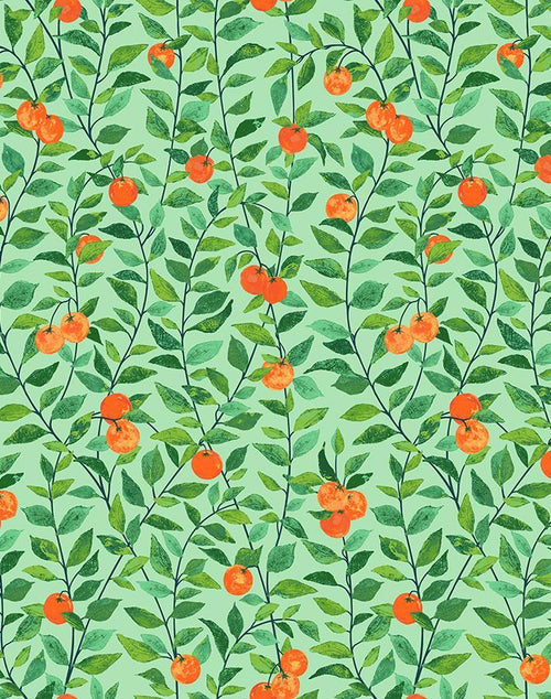 'REMOVABLE - Orange Crush Wallpaper by Nathan Turner - GREEN