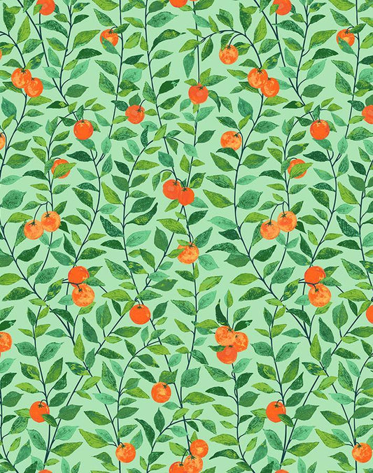 'REMOVABLE - Orange Crush Wallpaper by Nathan Turner - GREEN