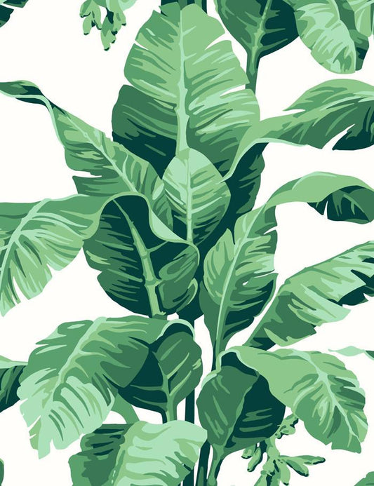 'Pacifico Palm' Wallpaper by Nathan Turner - Ivory - Removable / 26 in. x 3.5 ft.